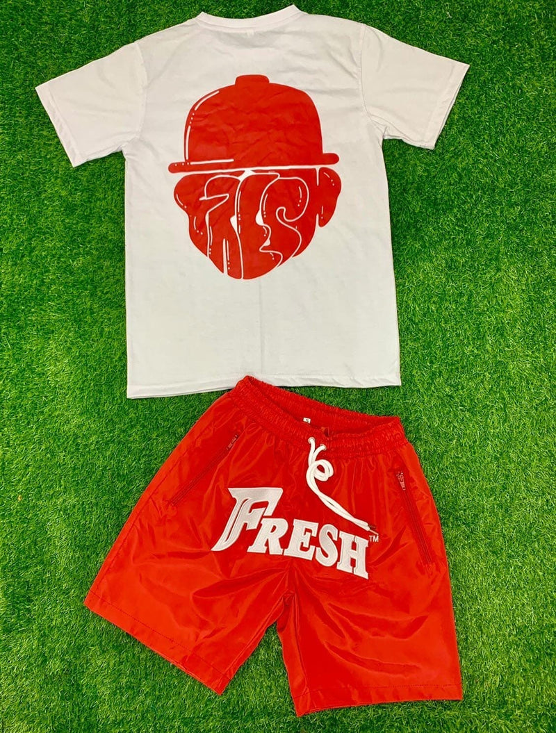 Mens tshirt and embroidered short set